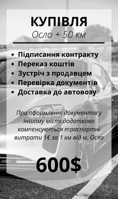 Automama electric cars Авто з Норвегії